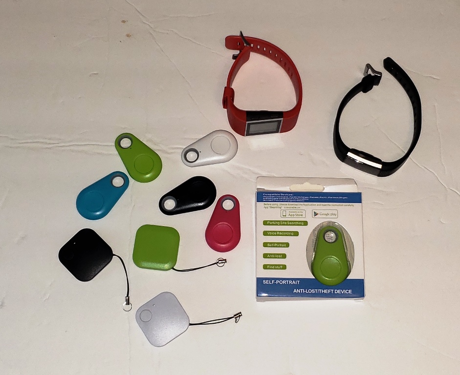 Blesentry Project Quick Take | www.apolonio.com